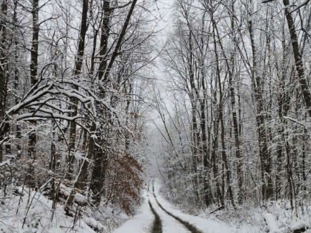 Boody Hill Spur photo 4