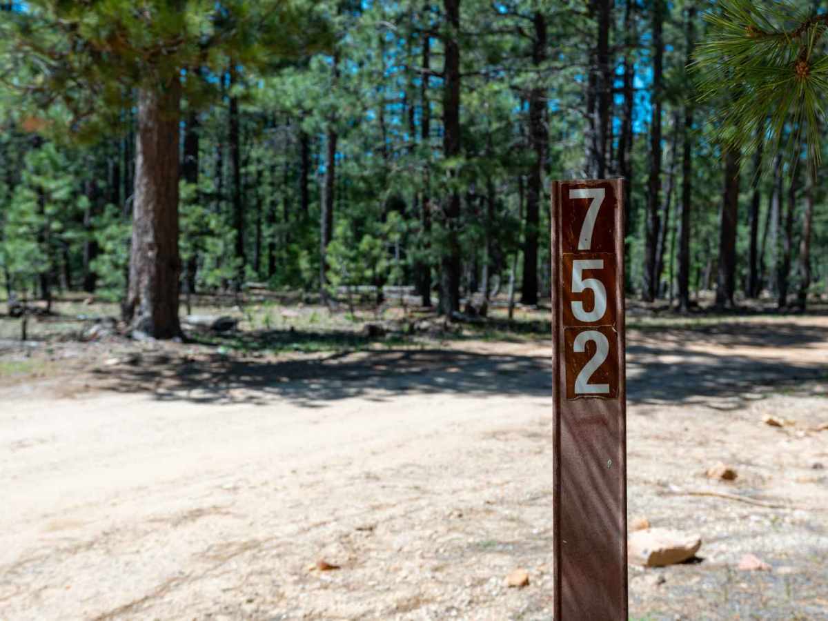 FS 752 trail photo