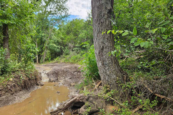 Captain Call Creek