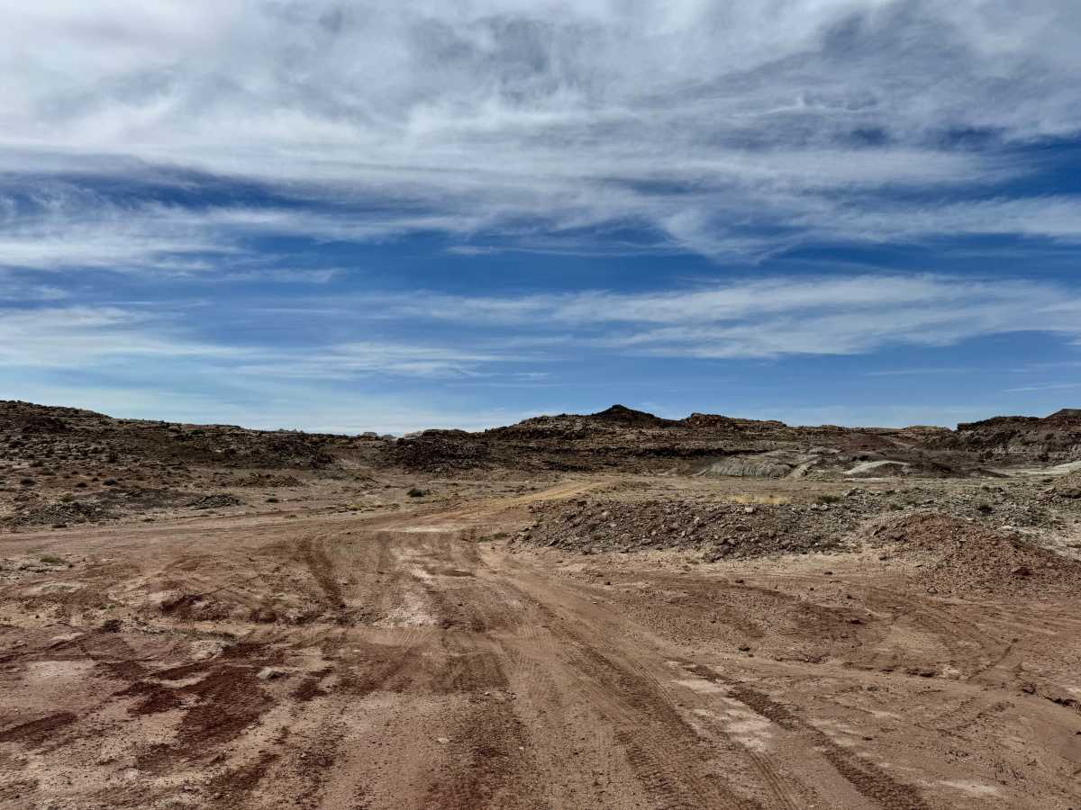 Miners Run Bailout trail photo