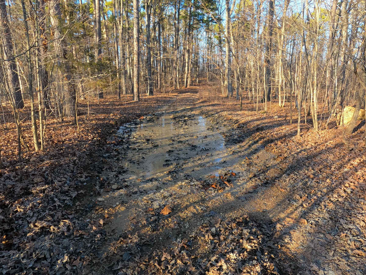 Town Hollow - FS 2647 photo 3