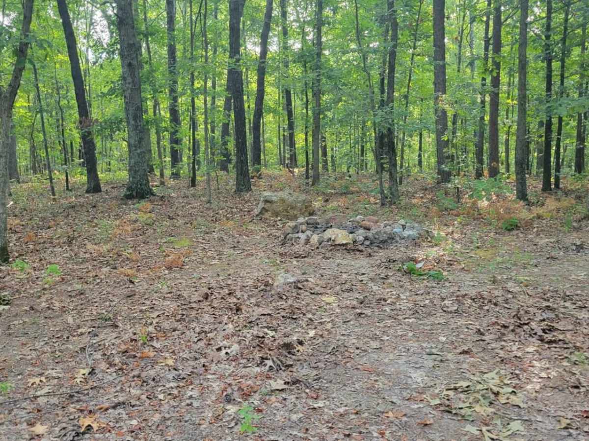 Gooseneck Trail photo 2