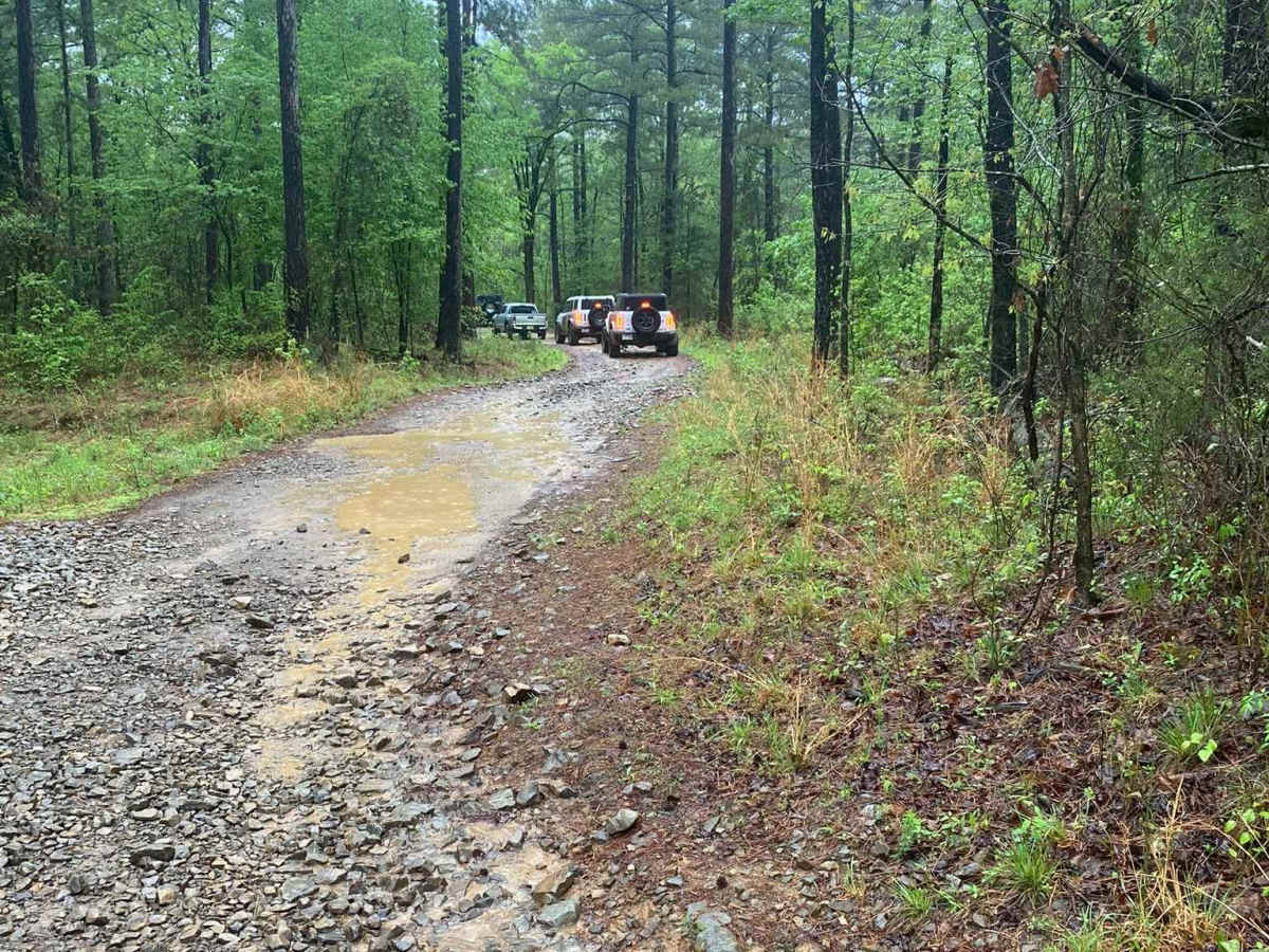 Shoal Creek  - FS 1604 photo 6