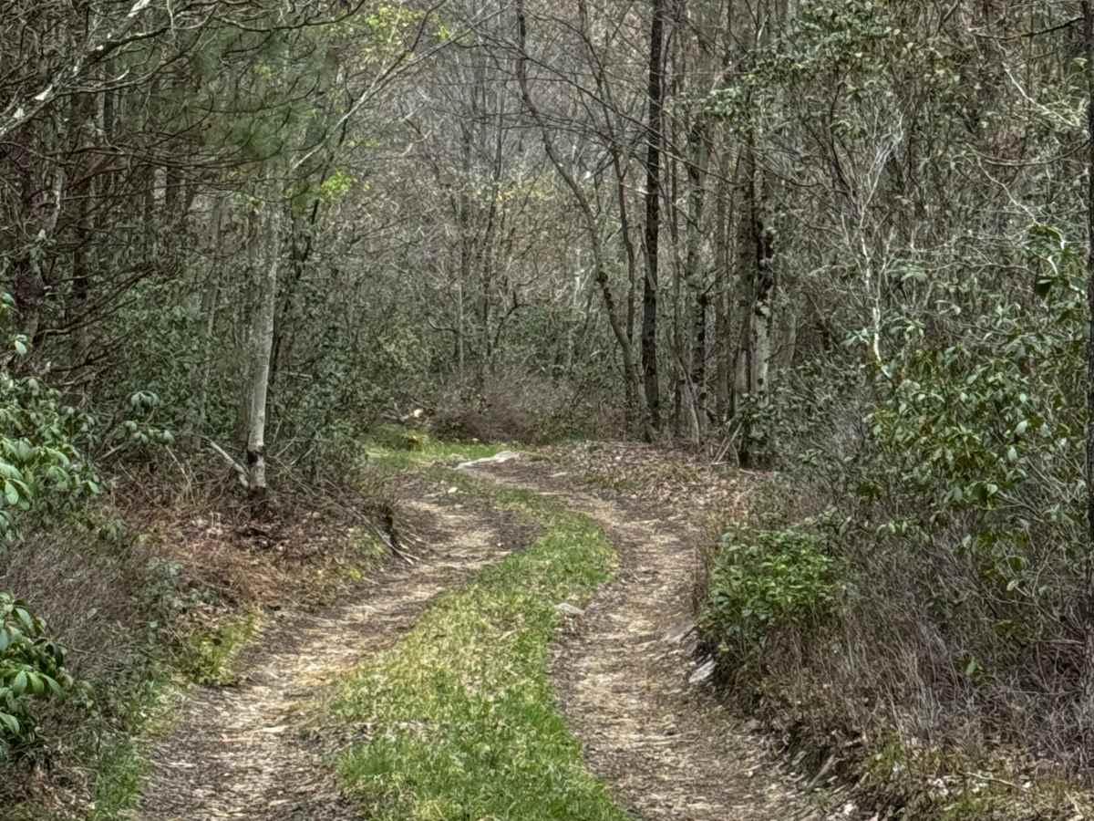 Sprout Springs Trail trail photo