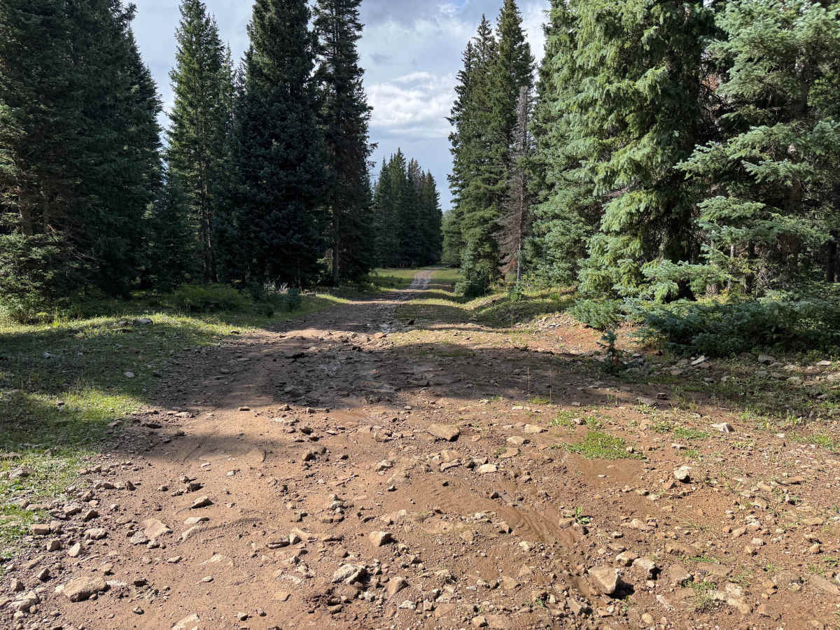 Dillons Cabin Road photo 2