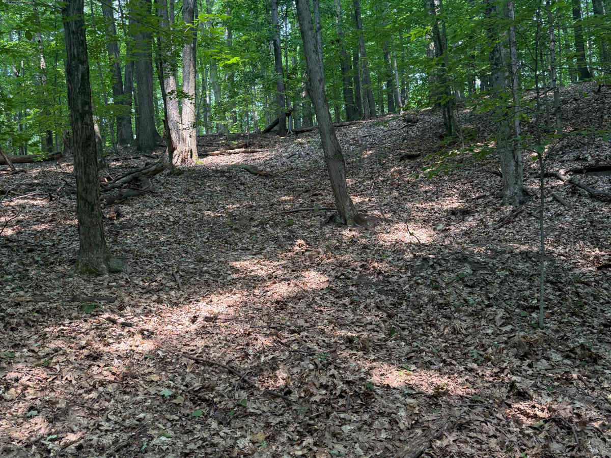 FS 5288 trail photo