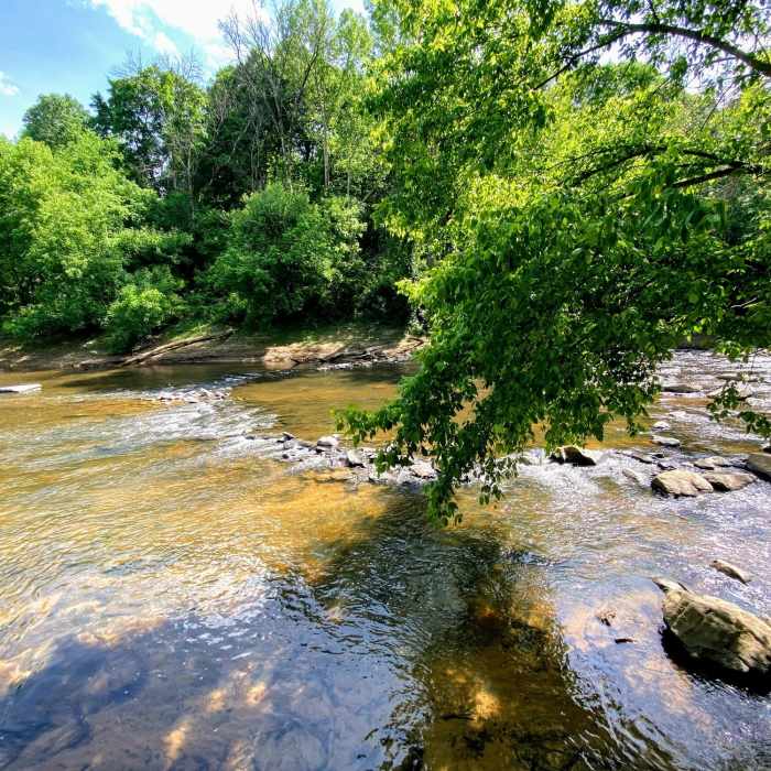 Ancient Indian fishing weir along the trail. Near Deep River Trail