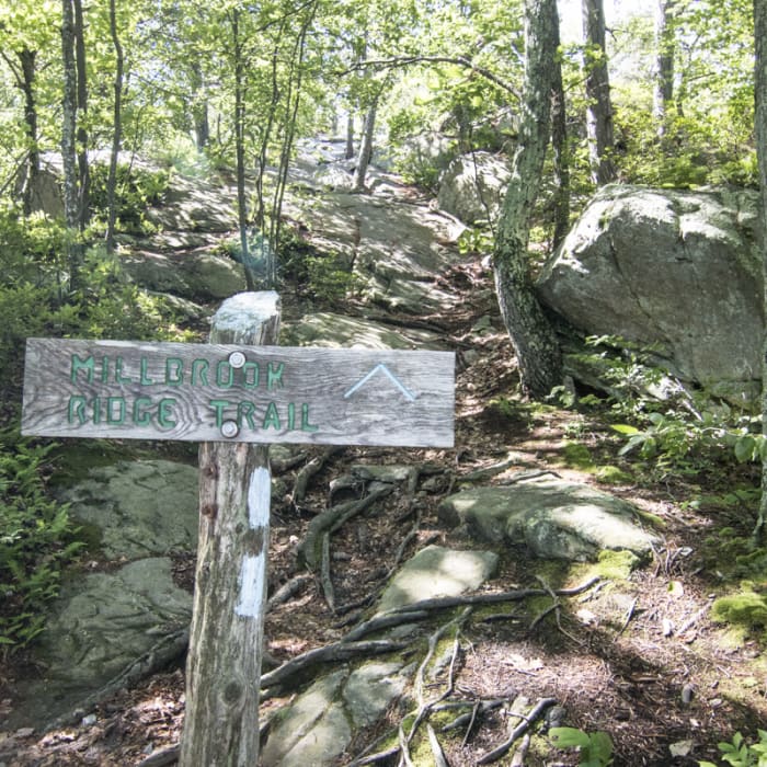 Near Millbrook Mountain + Gertrude's Nose