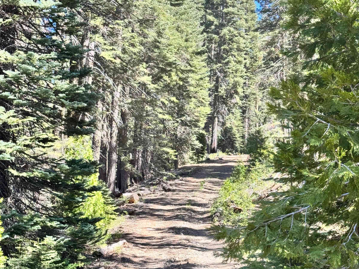 Humboldt North West - FS 27N80 trail photo