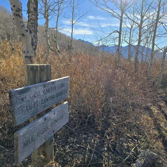Near Lamb's Canyon Pass