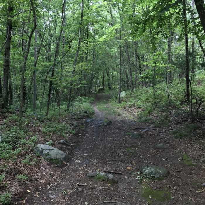 Near Northwest Trail