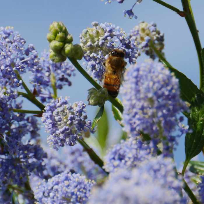 Near Westwood Hills Park