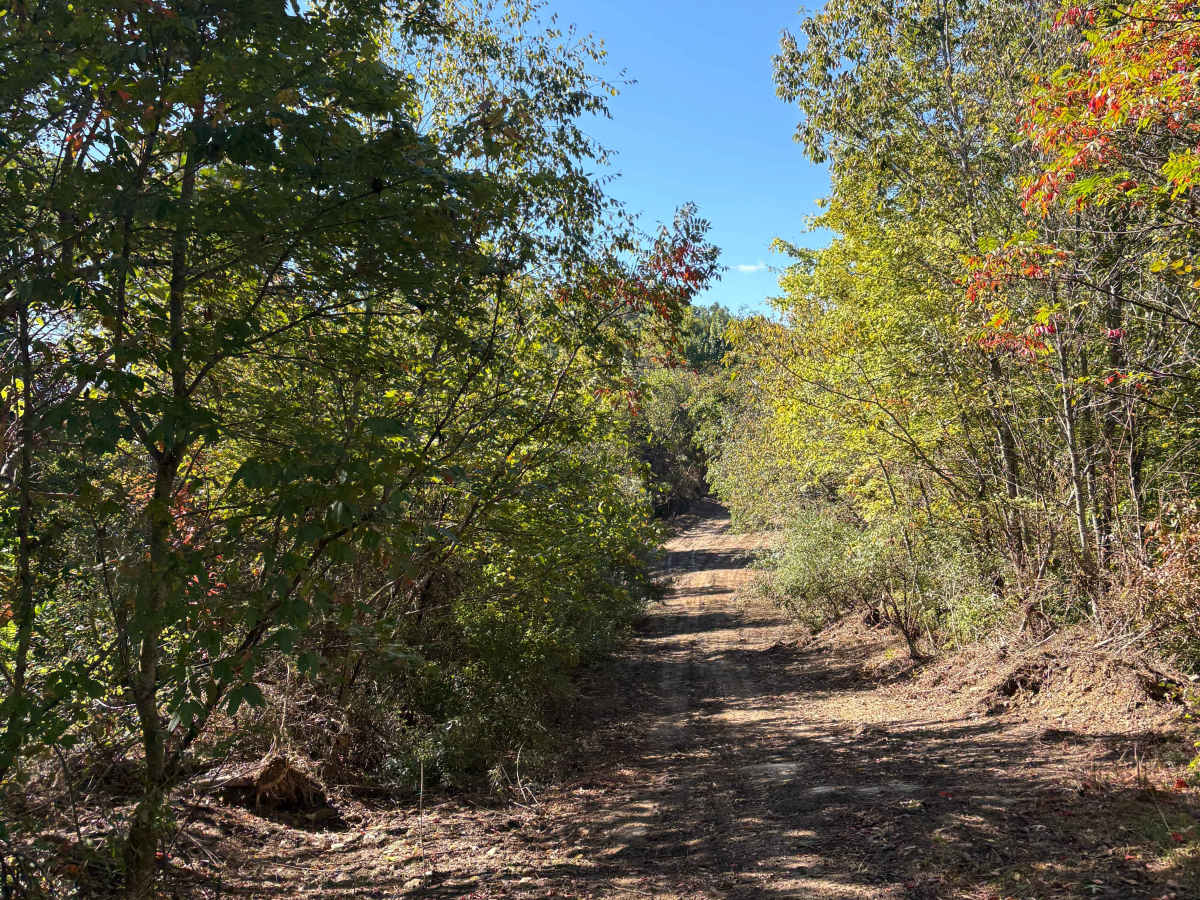 Trail 15 photo 3