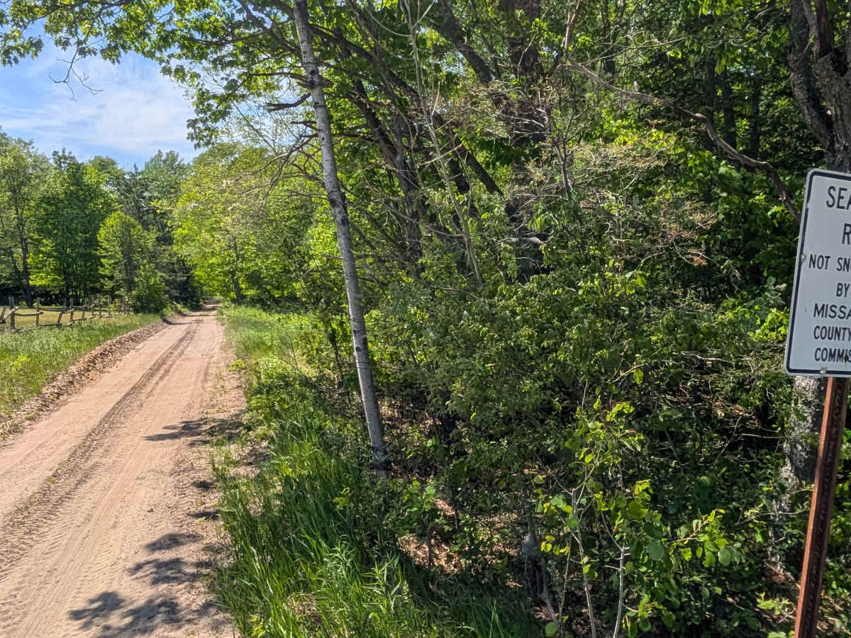 Newman Road trail photo