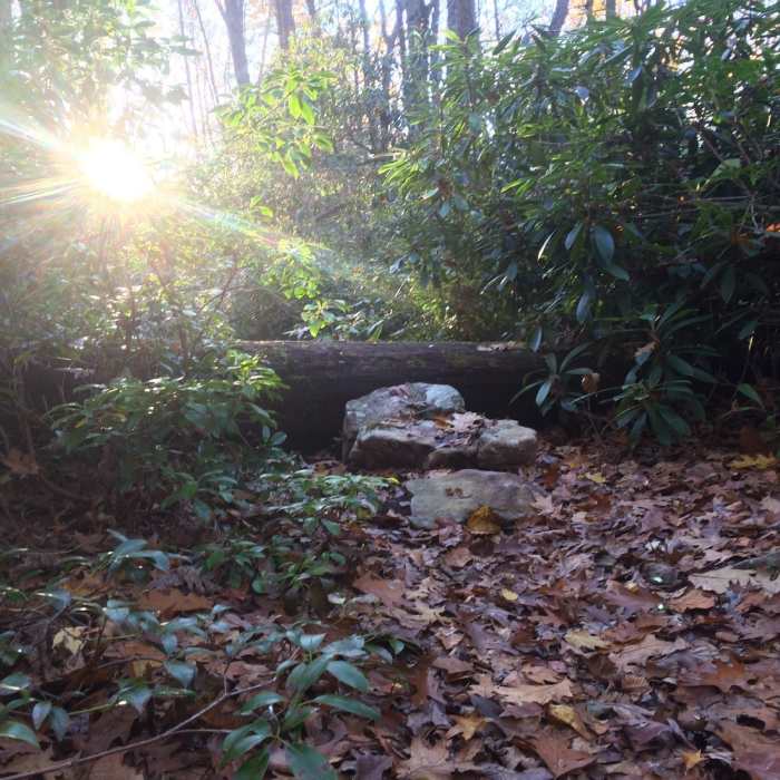 Near Lingle Valley Trail