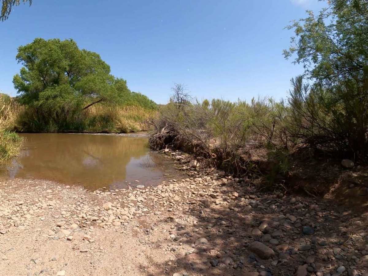 Horseshoe Lake Trail via Crossing Verde River trail photo