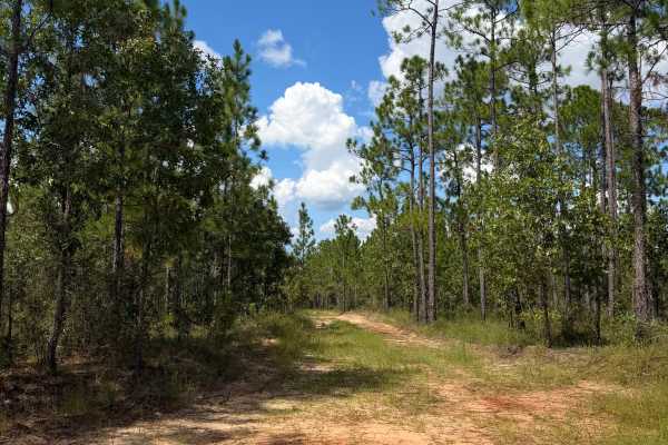 Blackwater River R68