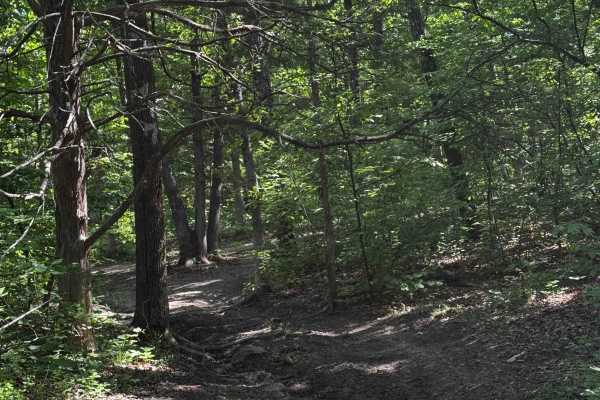 Inner Track 22