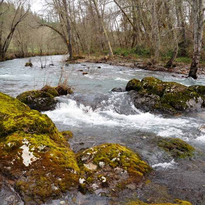 Near Elk Creek Trail