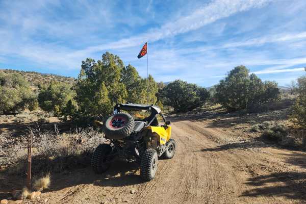 Pine Nuts P-16 Trail