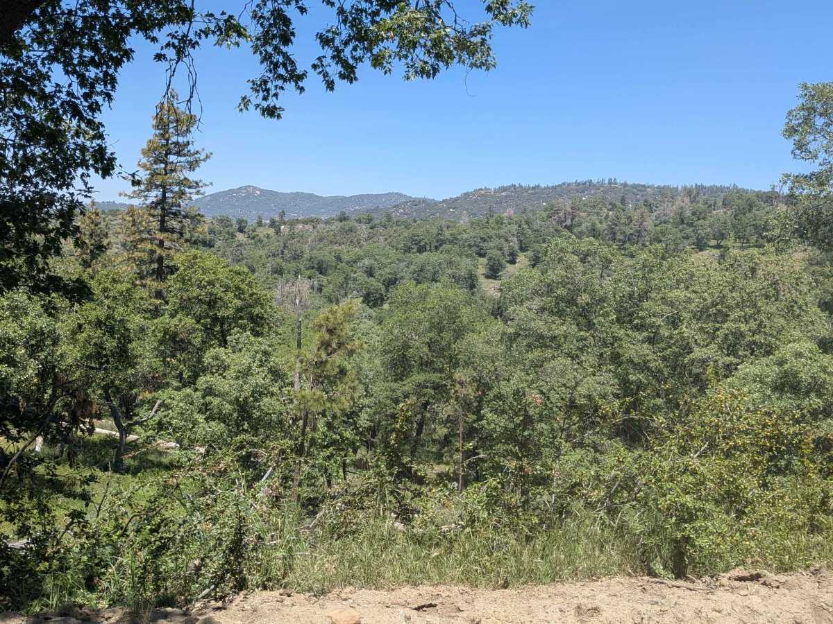 Rancheria Road South - FS 25S15 photo 5