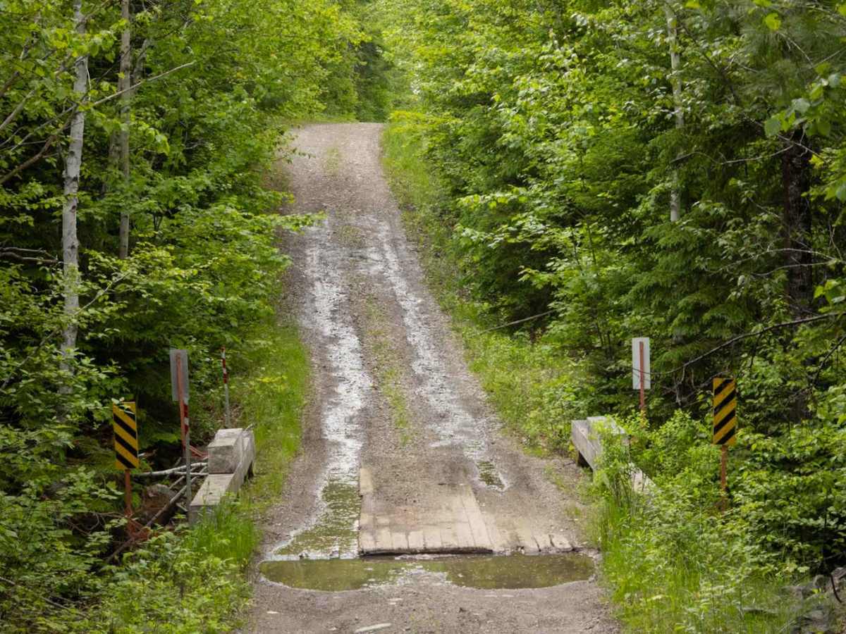 Nepisiguit (Grand) Falls River Trail photo 5