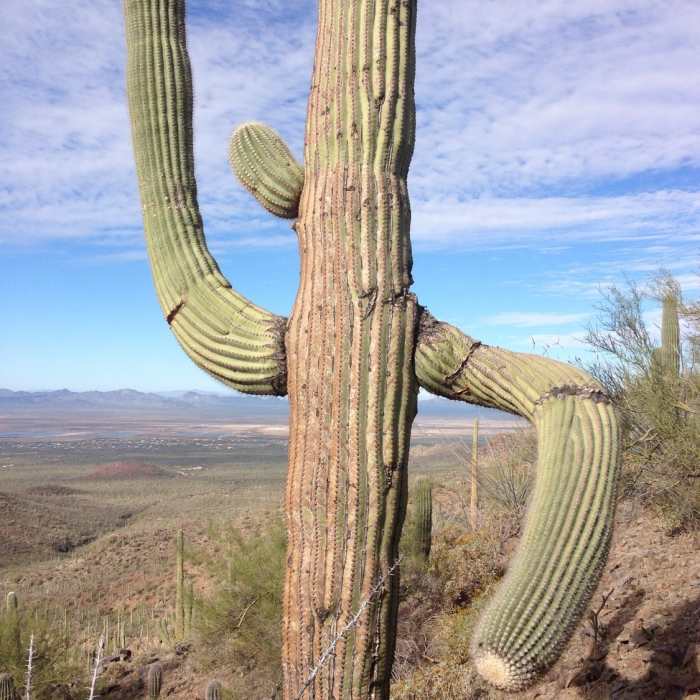 Near Sendero Esperanza