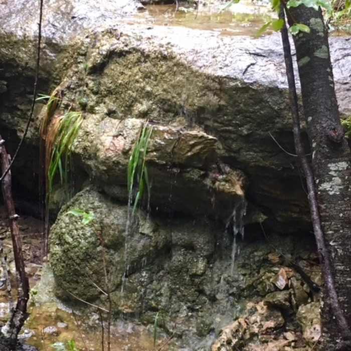 Near North Shore Out-and-Back