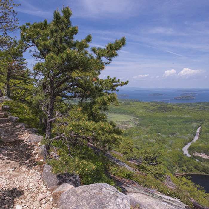 View of the Tarn and Frenchman Bay beyond from the Schiff Path Near Dorr Mountain Ladder Trail Loop