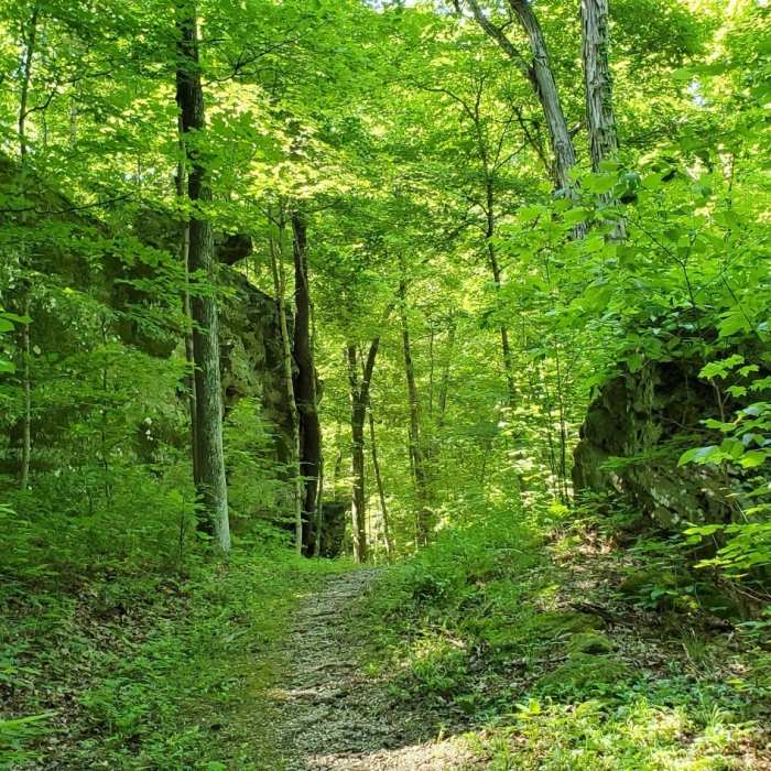 Trail passing between large rock exposures Near German Ridge: Southern Half Hike