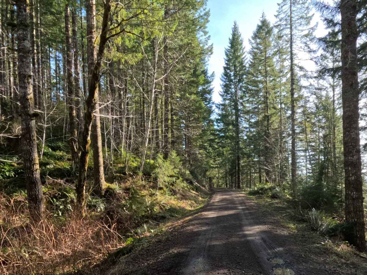 Portland Mill Rd trail photo