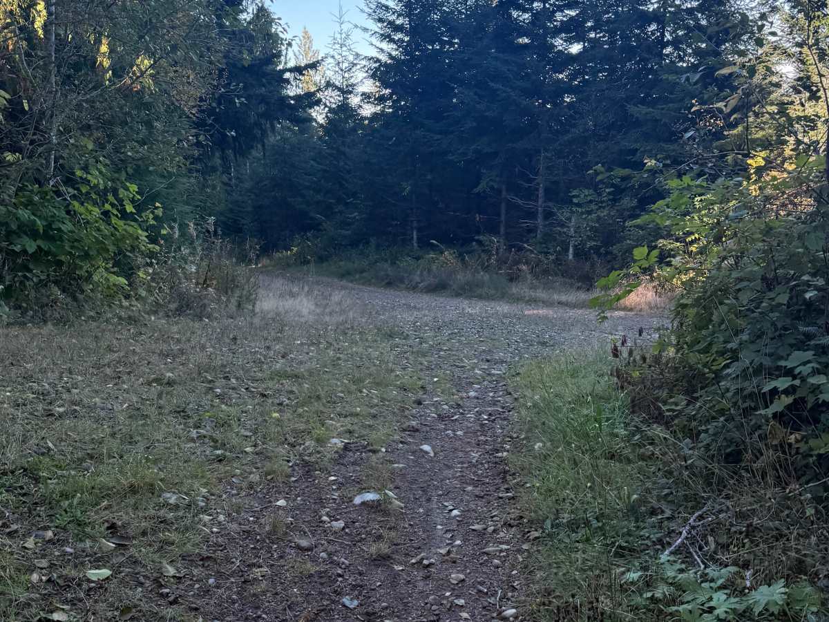 Upper Swanson photo 4