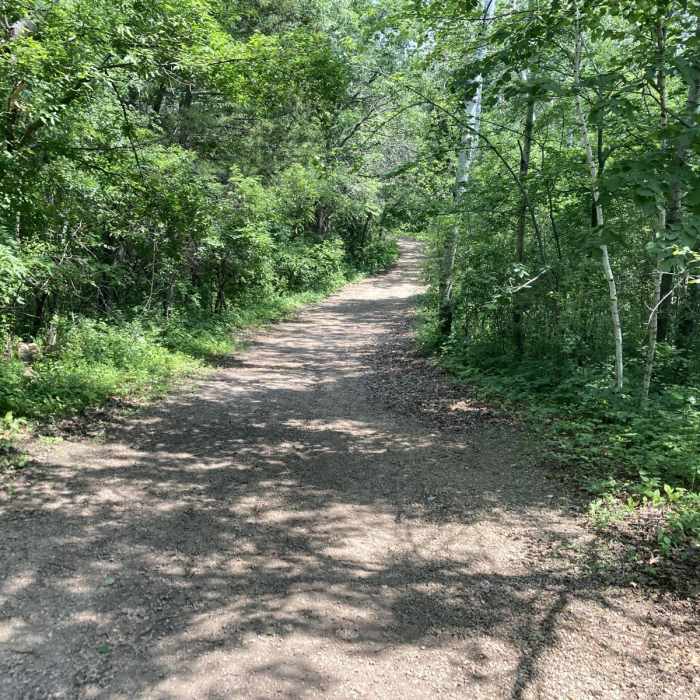 Near Pioneer Trail Near Pioneer Trail