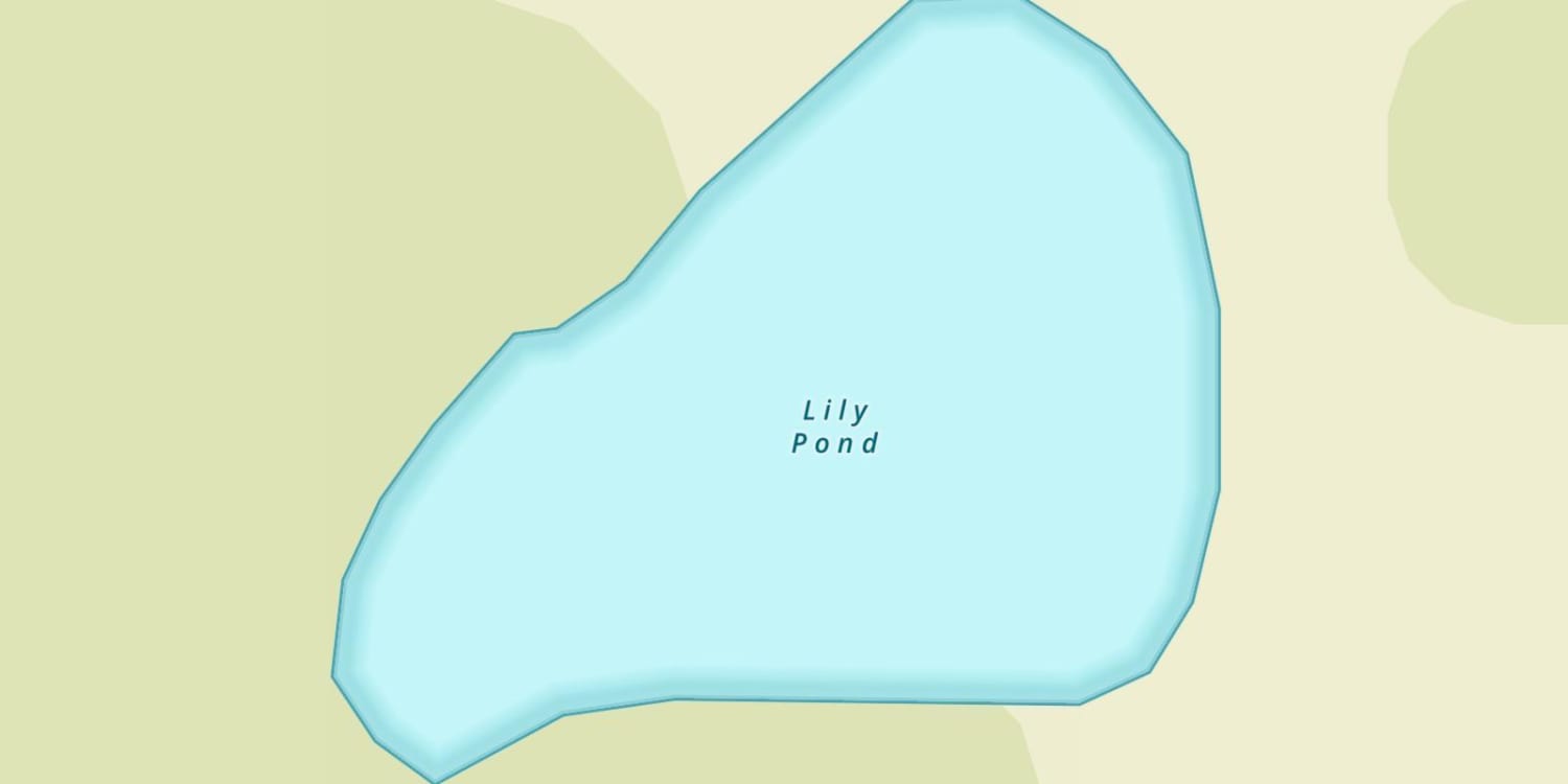 Lily Pond