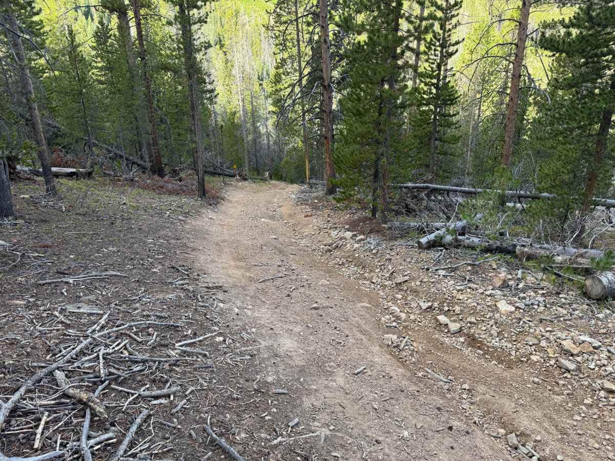 Galena Gulch Road photo 5