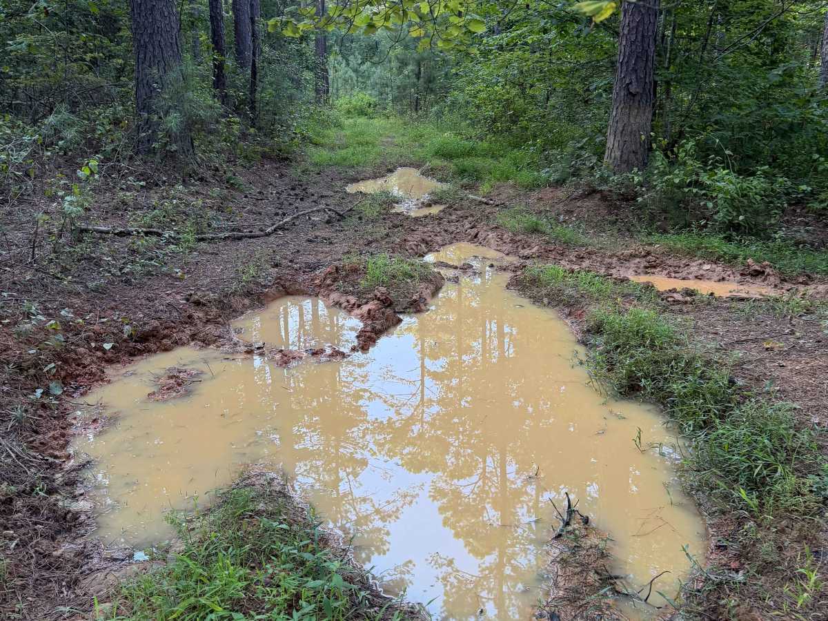 Mud Season photo 2
