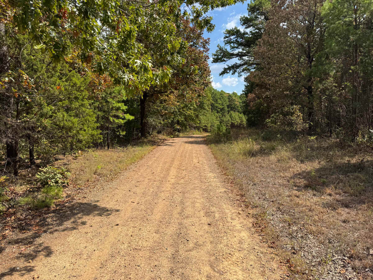 Pine Grove trail photo