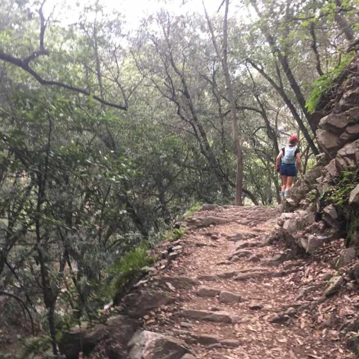 Near Mount Wilson Lollipop via Eaton Canyon Near Mount Wilson Lollipop via Eaton Canyon