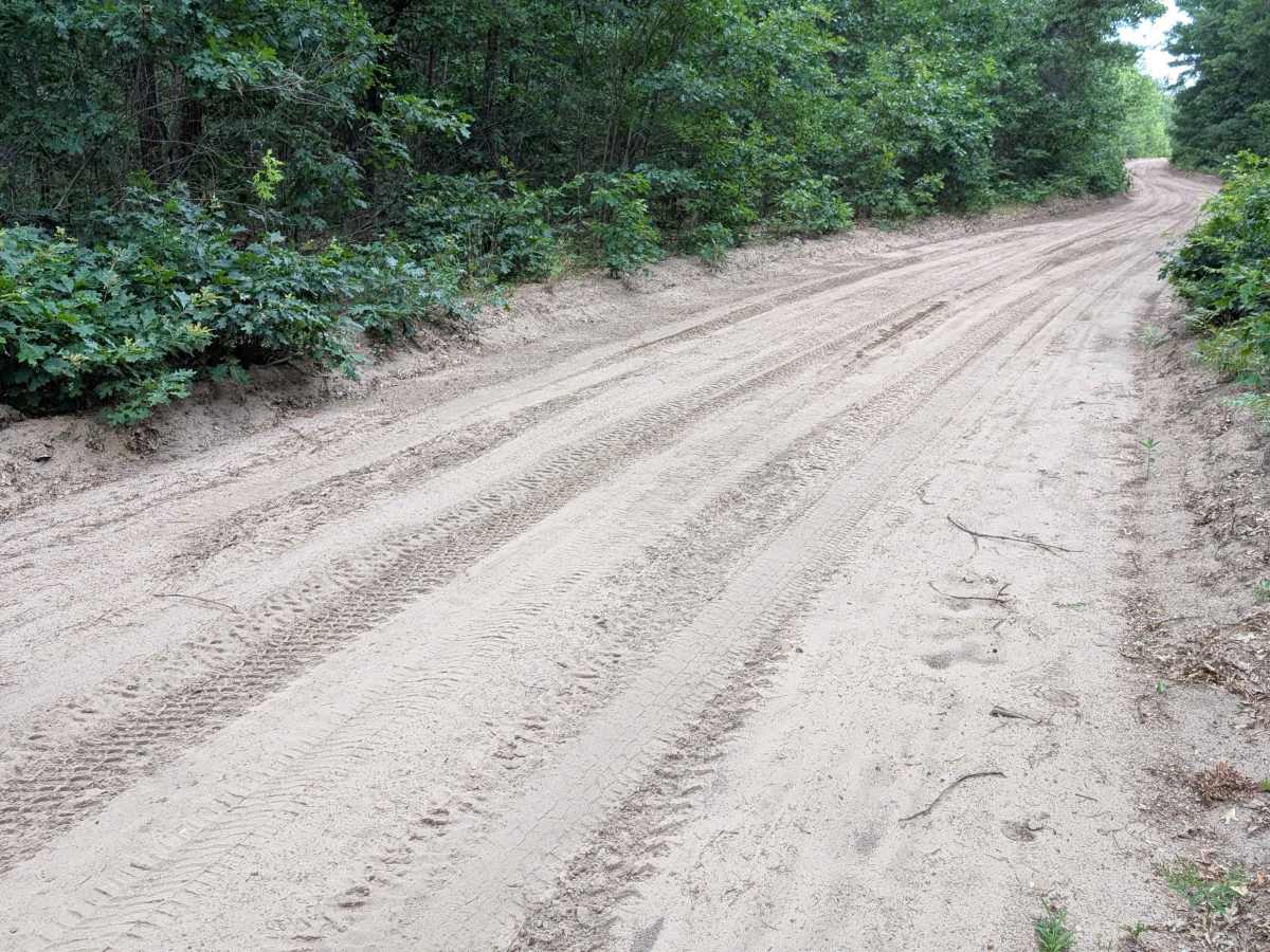 Walker Road photo 5