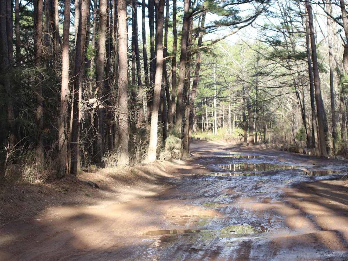 Lookout Road photo 4