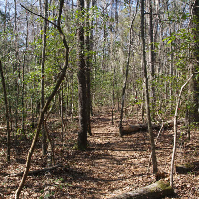 Near Kingfisher Pond Loop