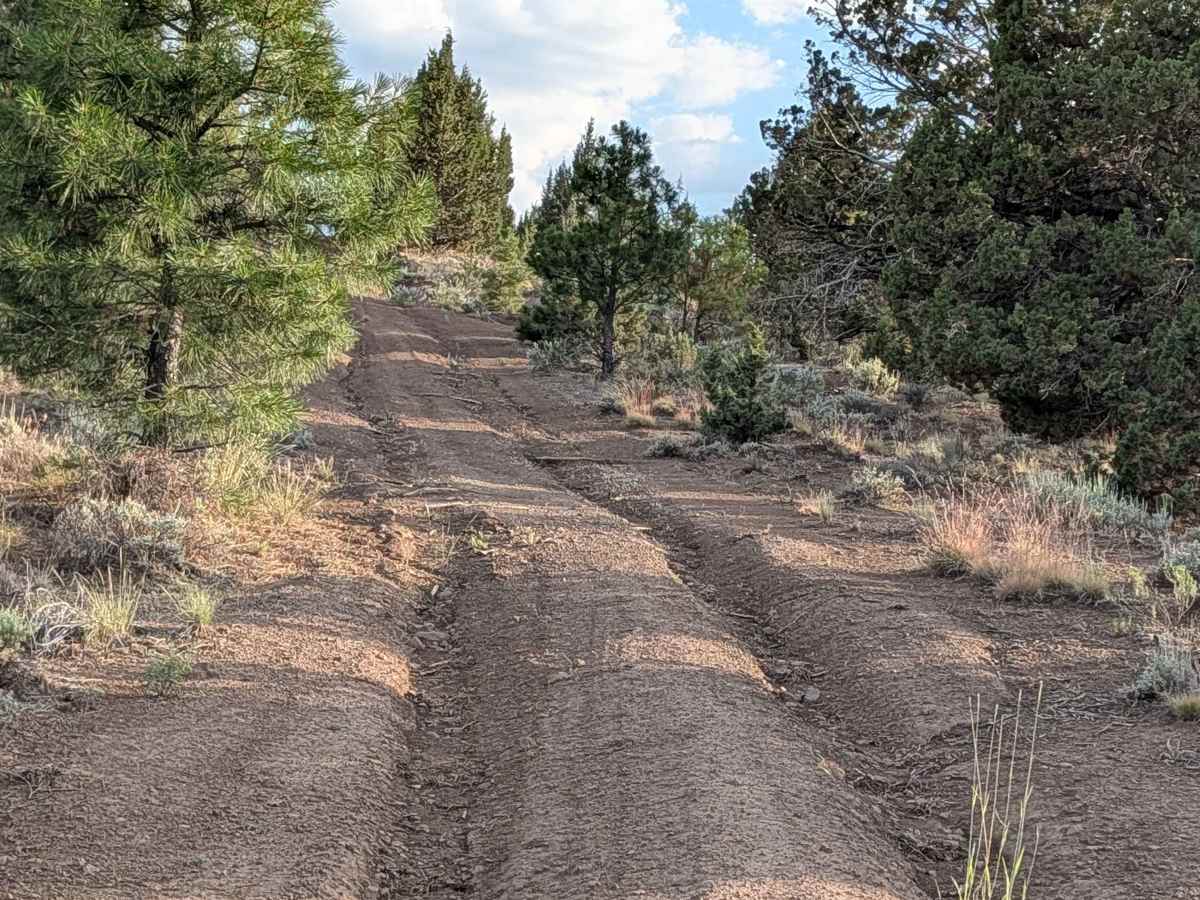 Bento Butte - FS 46N22 photo 3
