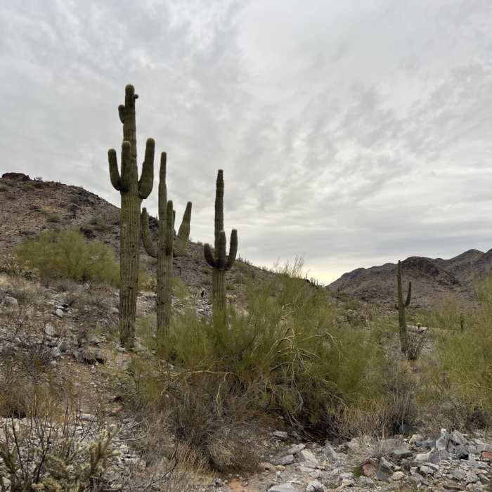 Near Piestewa Peak via 32nd Street