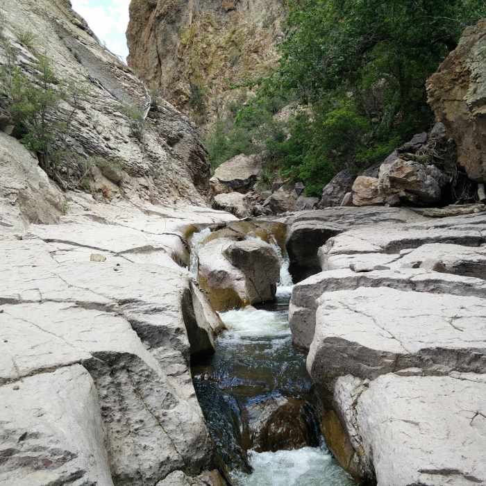 Near Mineral Creek Trail to Cooney Mine Camp