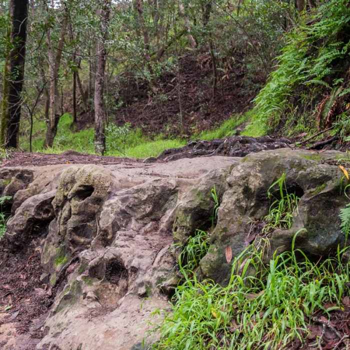 Near La Corona Trail Hike
