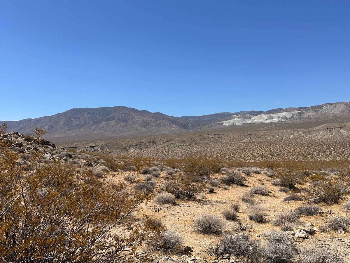 East Fork Wash photo 4
