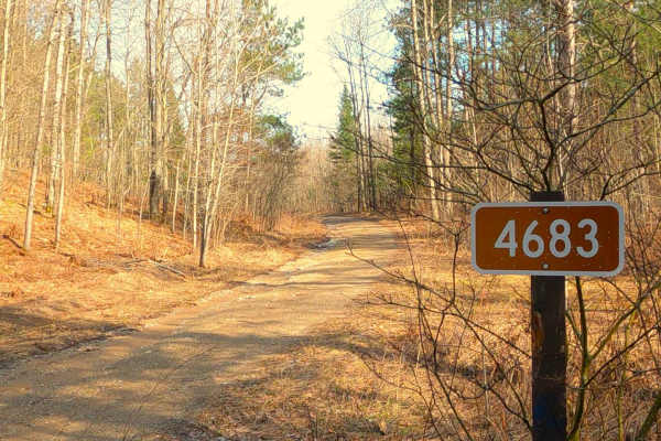 FS 4683