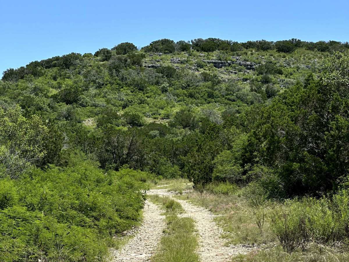 Main Street trail photo