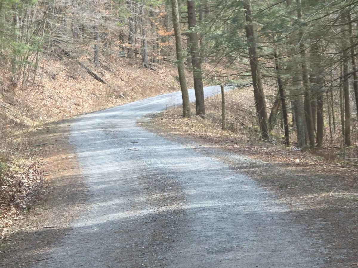 Asaph Run Road photo 2