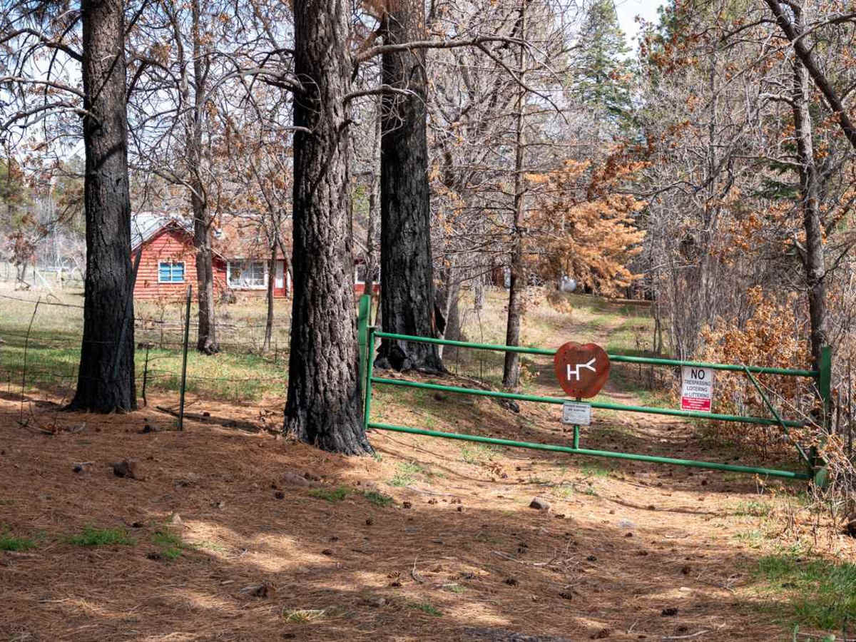 Murphy Ranch - FS 487A photo 6